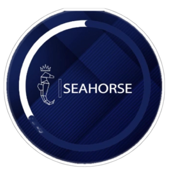 Logo Arturo seahorse